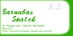 barnabas spalek business card